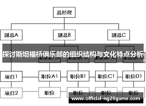 探讨斯坦福桥俱乐部的组织结构与文化特点分析