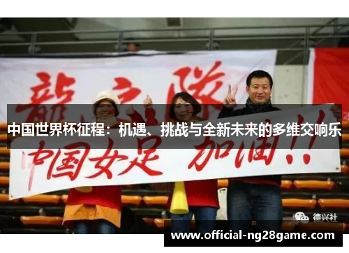 中国世界杯征程：机遇、挑战与全新未来的多维交响乐